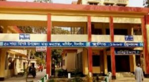 ঘাটাইলে ১৫ ডেঙ্গু রোগী সনাক্ত জনসাধারন আতঙ্কে