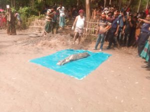 ঘাটাইলে ৪ মাস ১১ দিন পর কবর থেকে লাশ উত্তোলন
